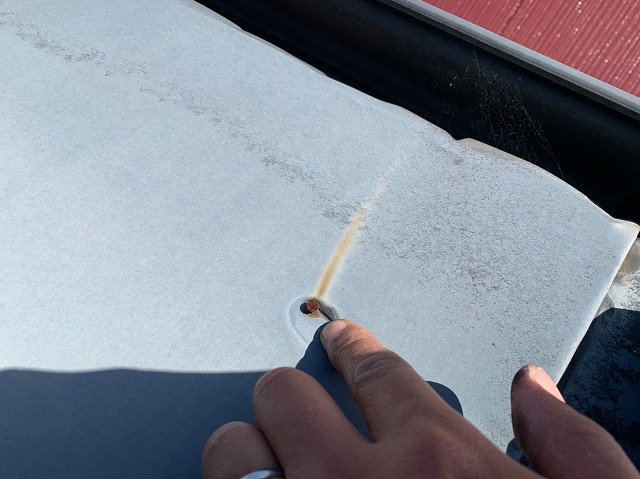 板金を固定している釘が浮き出て錆びていました。